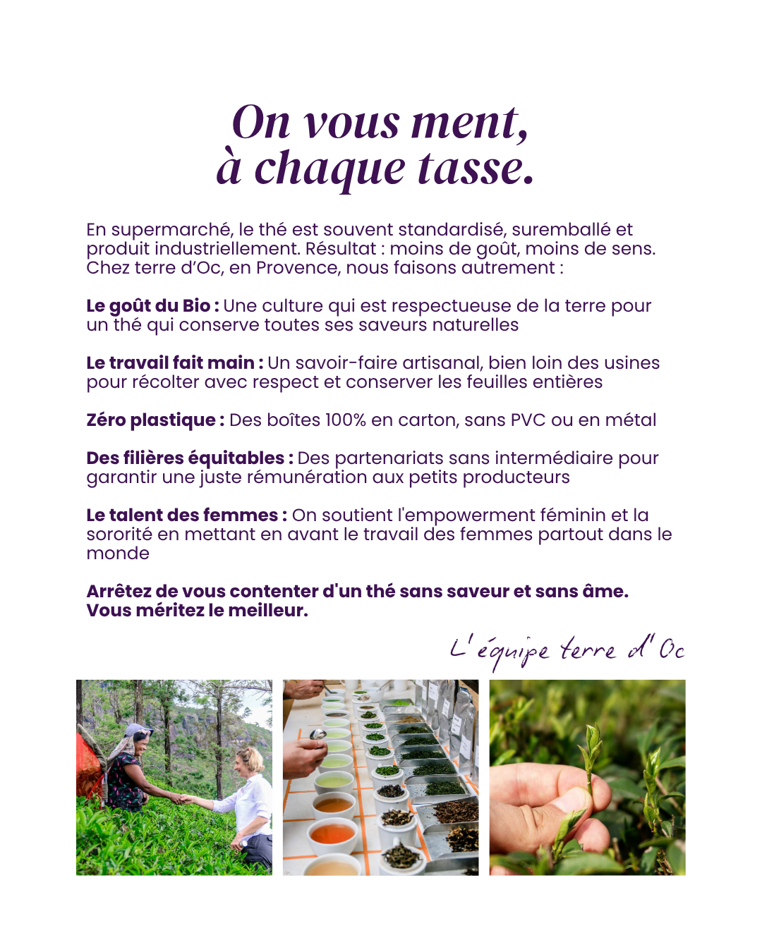 terre d'Oc Facebook ad