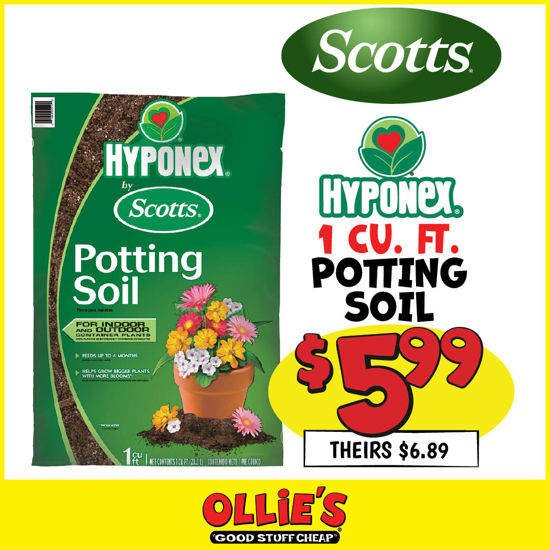 Ollie's Facebook ad