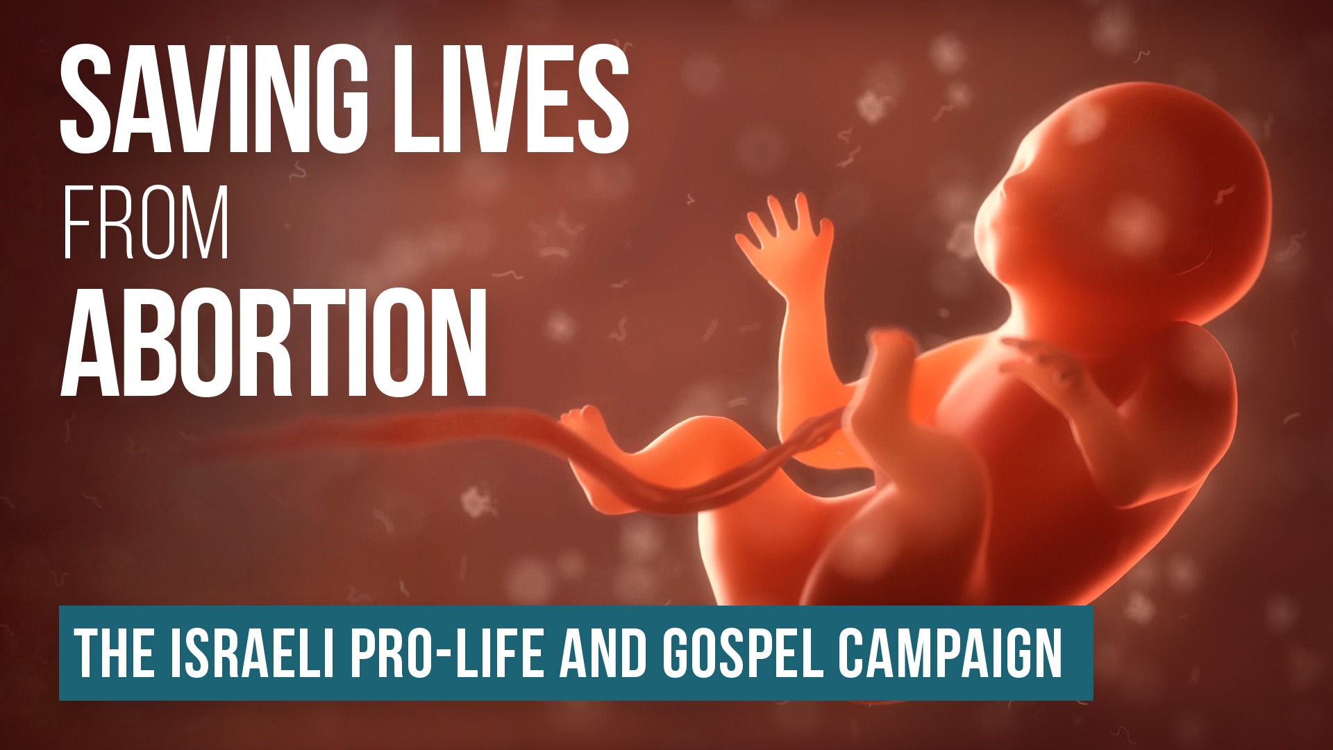 Tree of Life Ministries｜Evangelism in Israel Facebook ad
