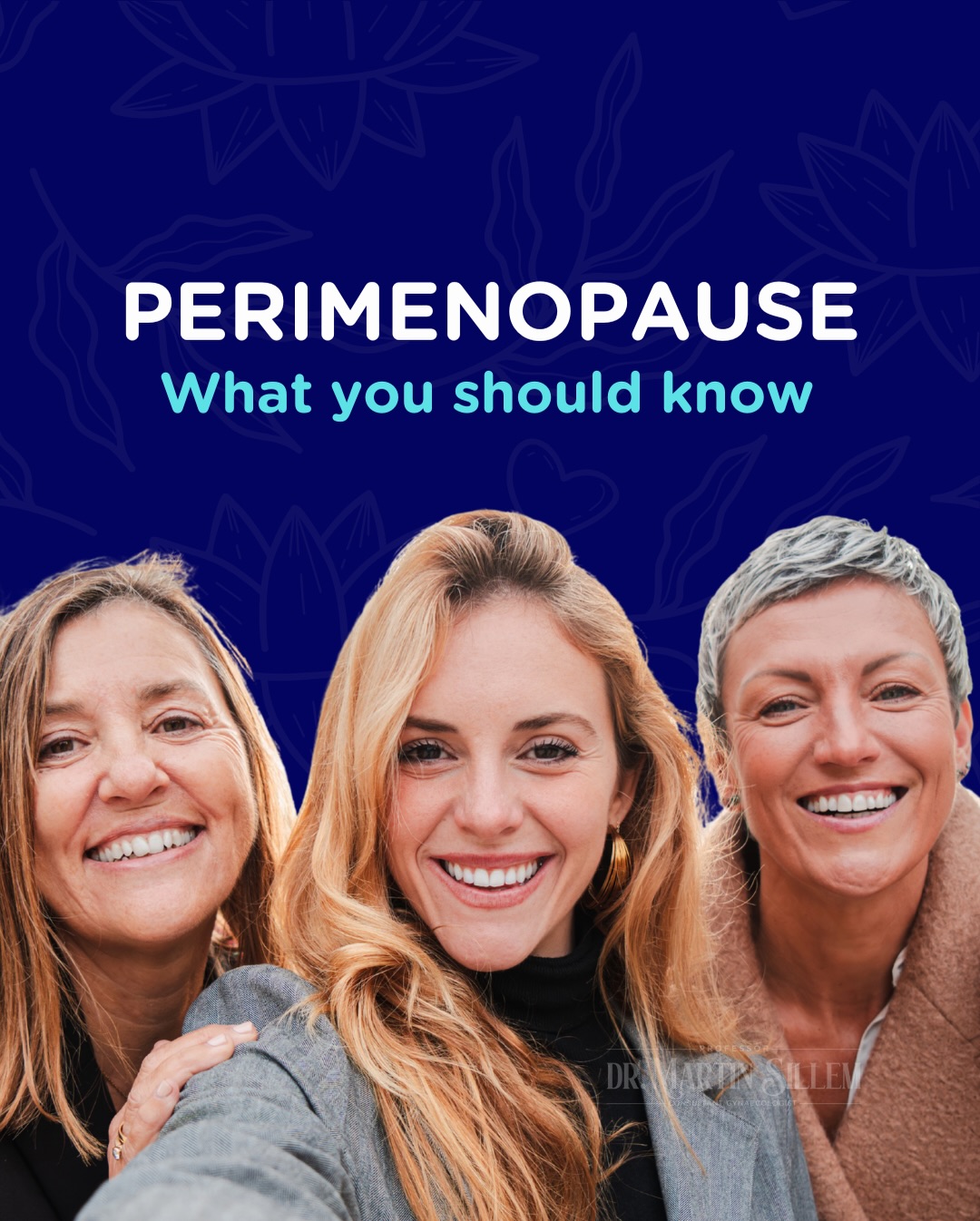 Prof. Dr. Martin Sillem Facebook ad: Perimenopause is a natural transition which usually begins…