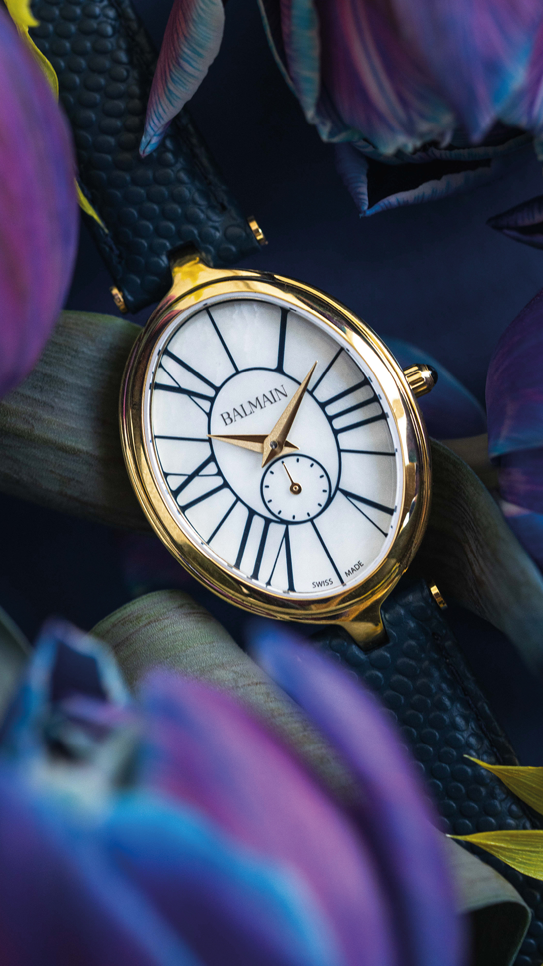 Balmain Watches Facebook ad