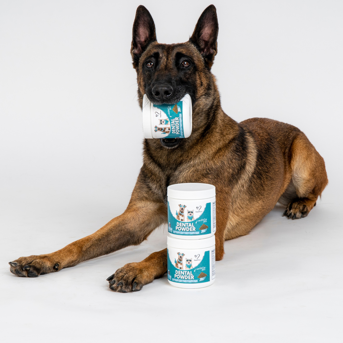 Nutri Paw Facebook ad