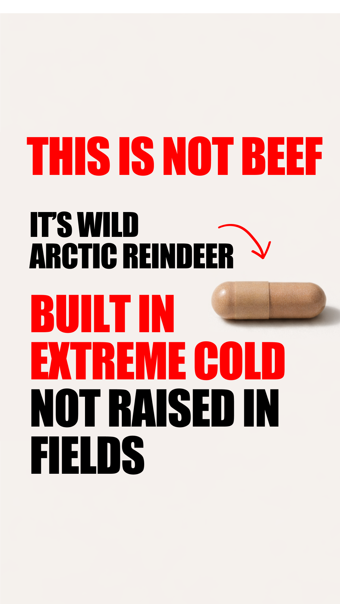 Primal Viking Facebook ad
