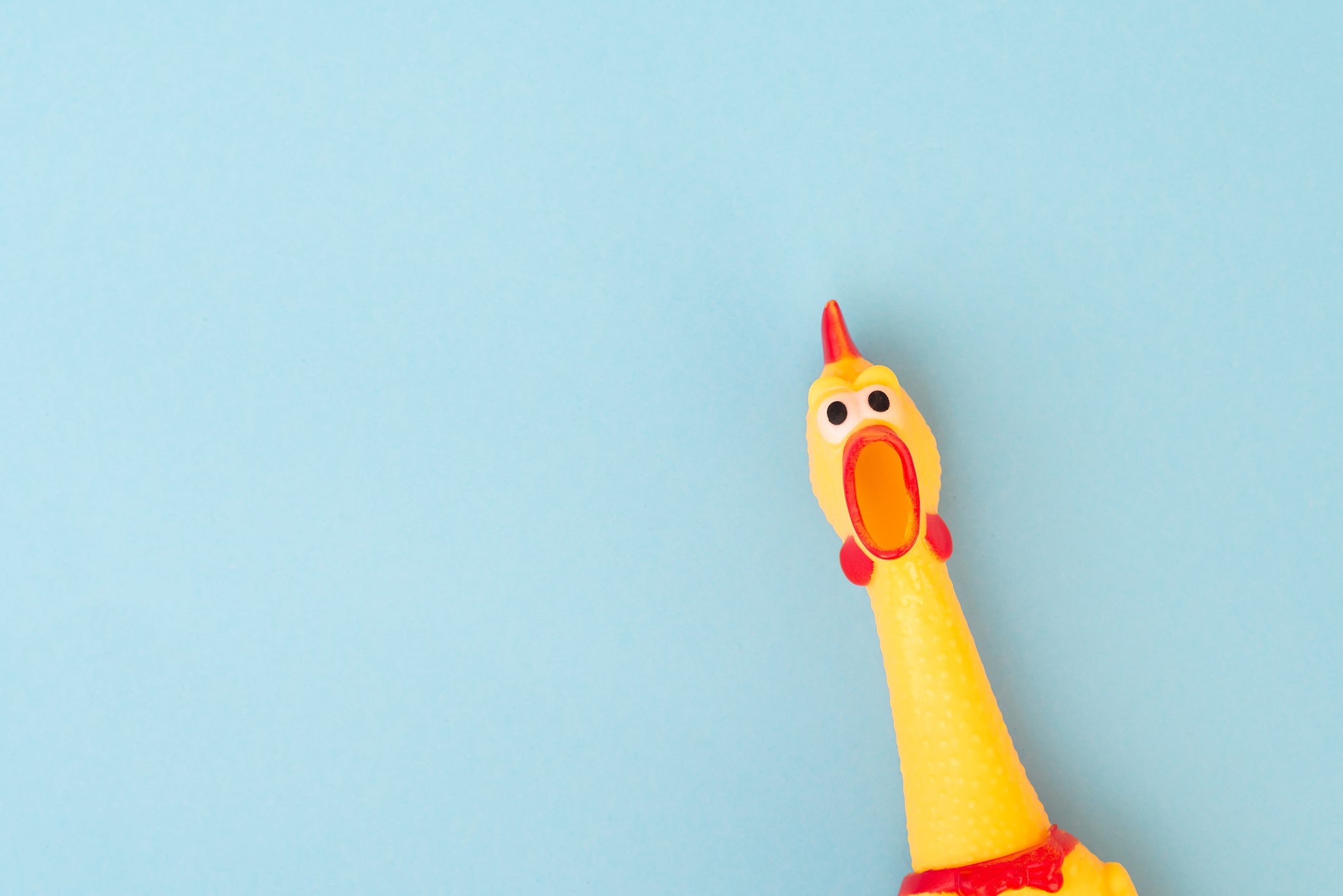 The Bird Facebook ad: At The Bird we focus on a tight…