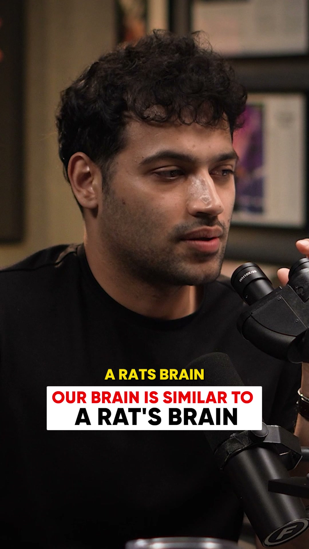 FigureO POD Facebook ad: Human Brain vs a Rat's Brain
