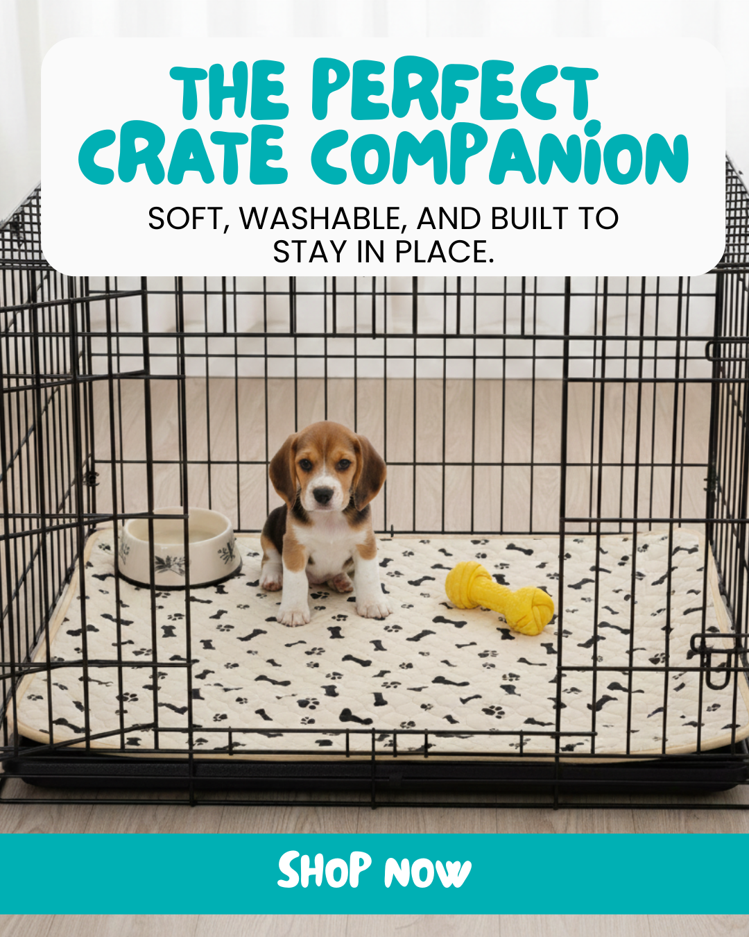 Potty Buddy Facebook ad