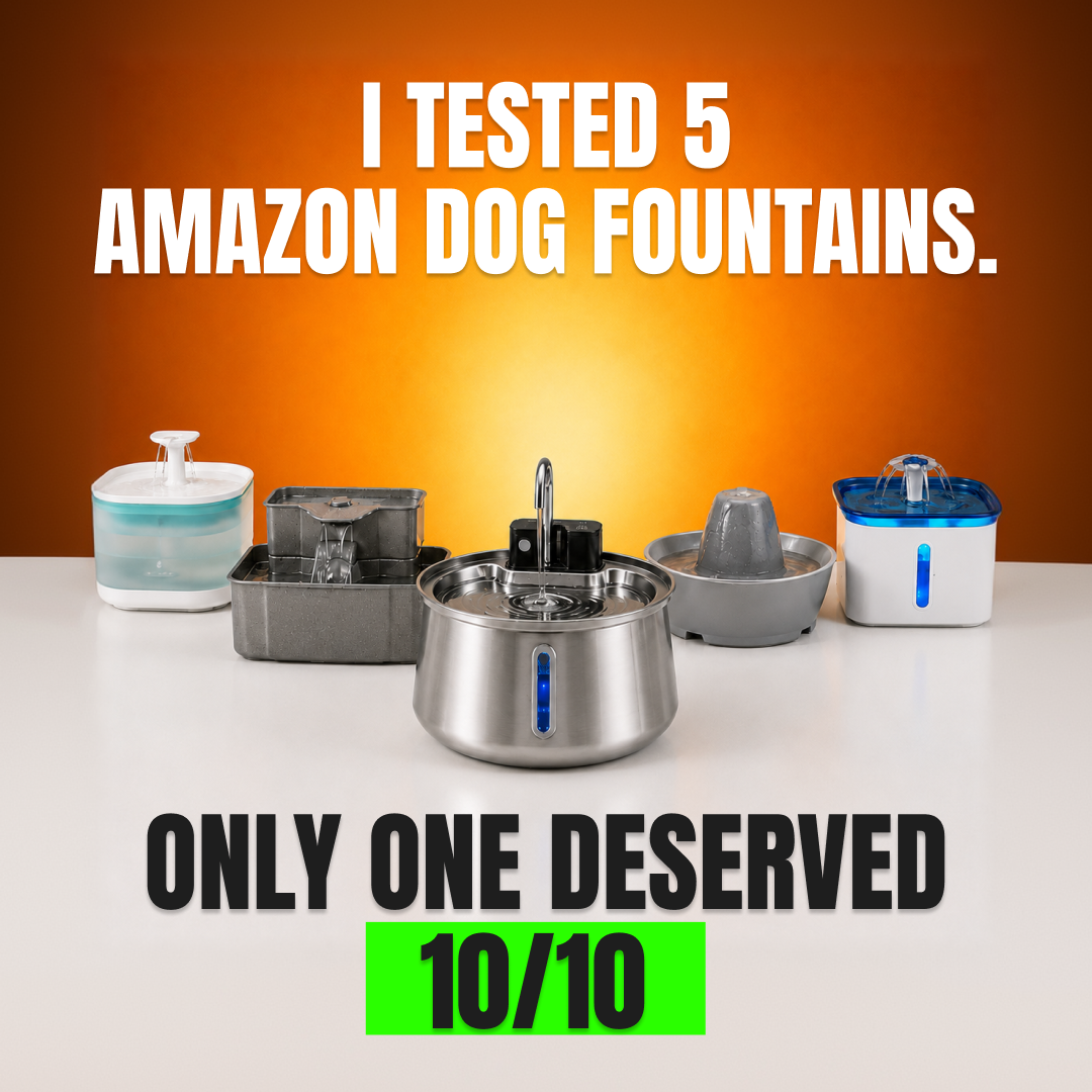 Best Dog Products 2026 Facebook ad