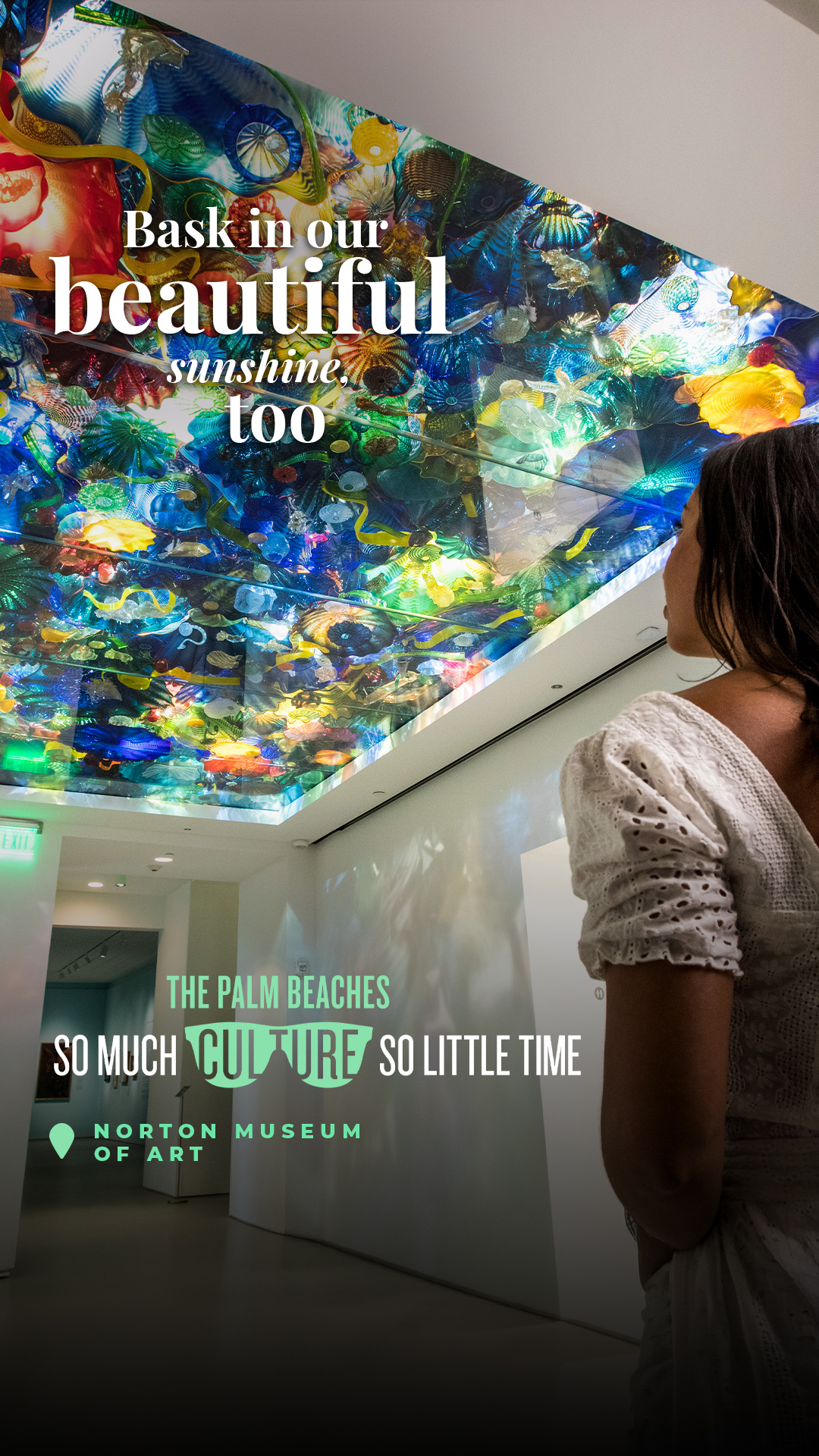 Cultural Council for Palm Beach County Facebook ad from Jan 1, 2026