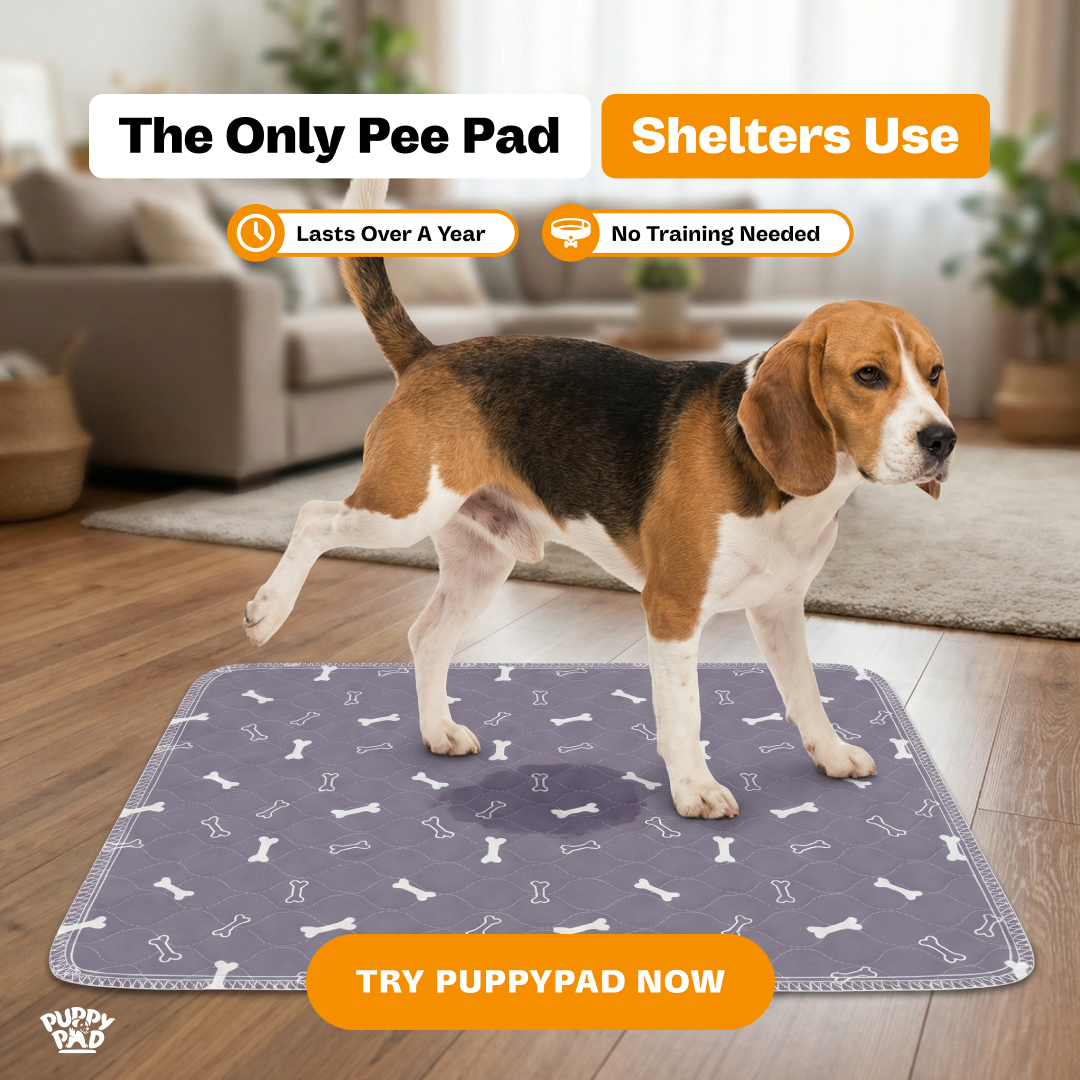PuppyPad Facebook ad