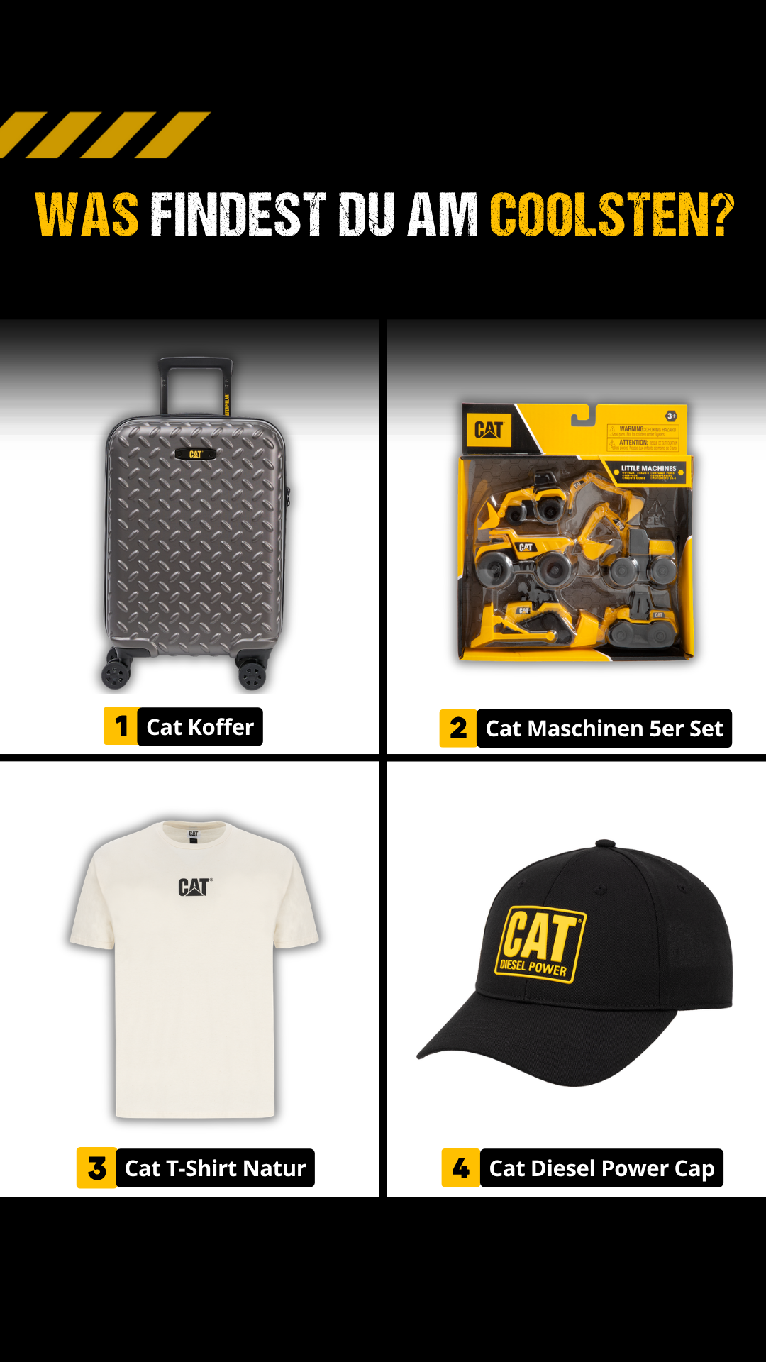 Zeppelin Fahrerclub Facebook ad