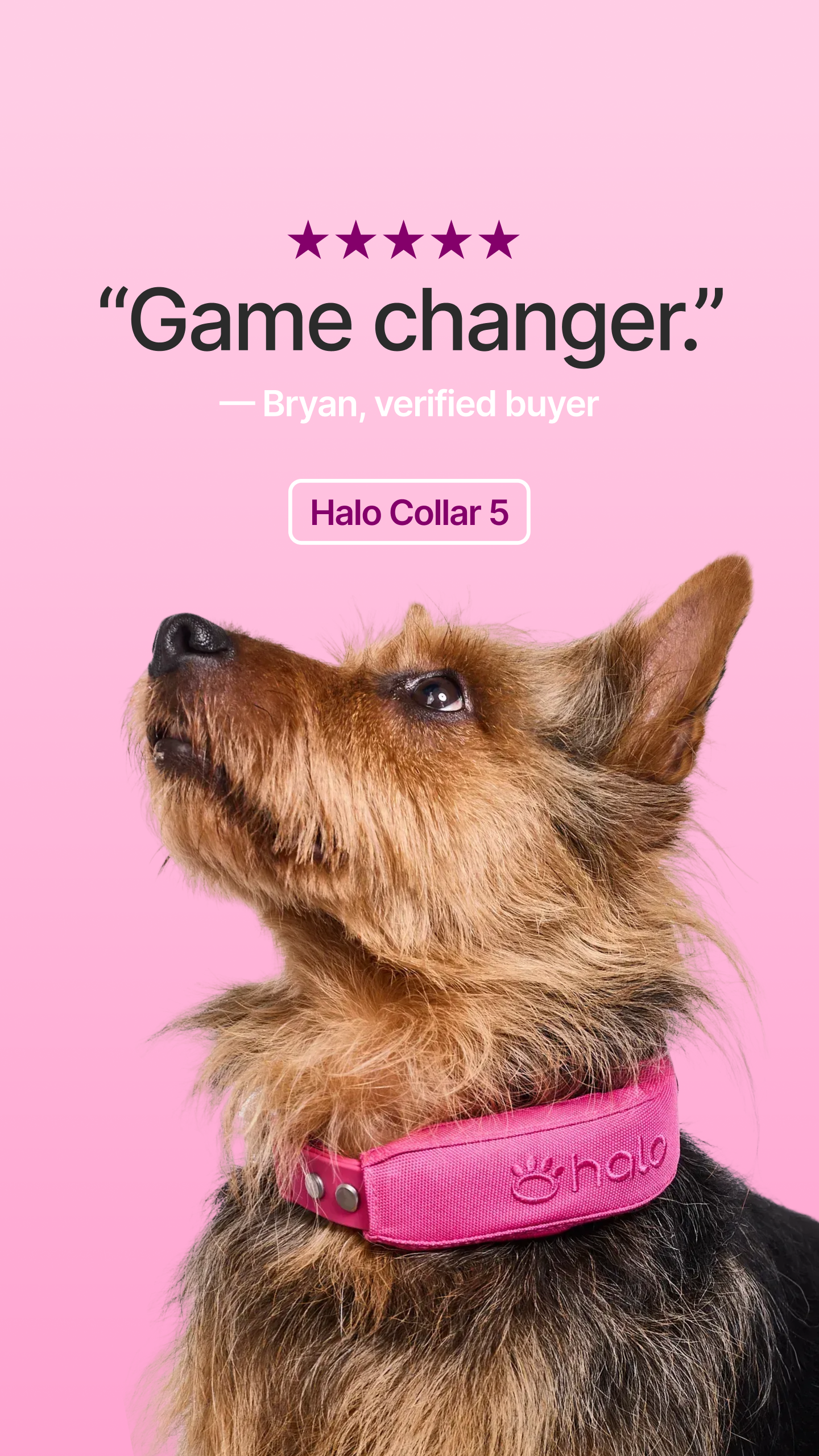 Halo Collar Facebook ad