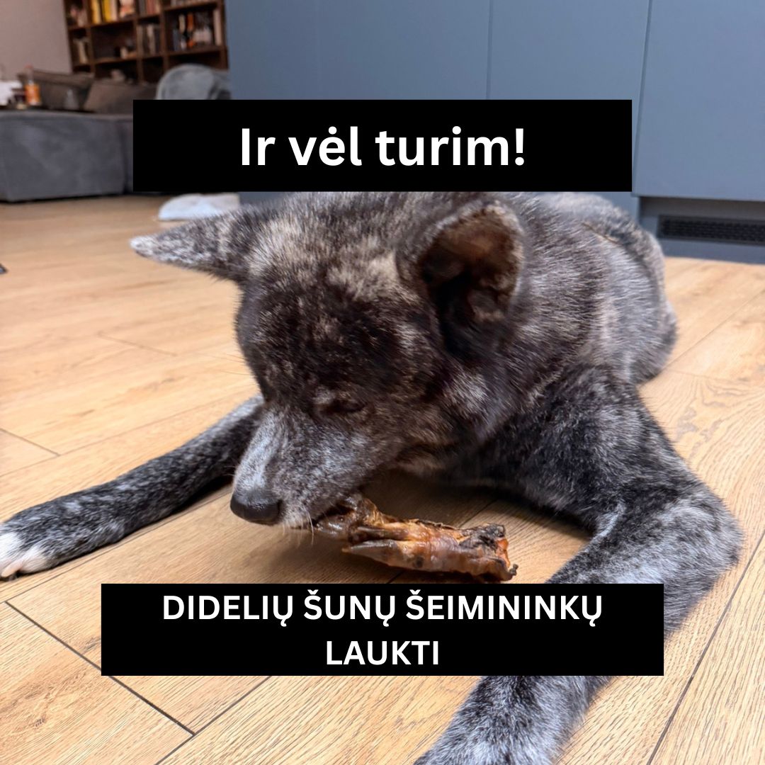 Sweet Pet Facebook ad