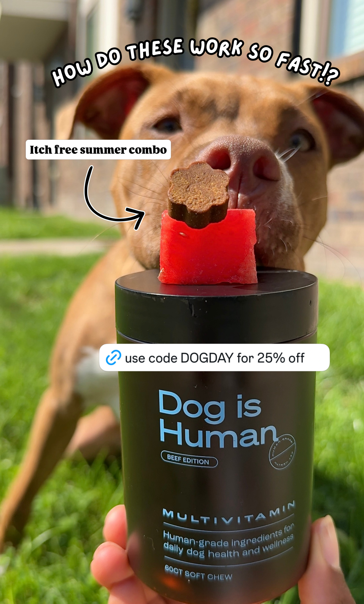 Dog is Human Facebook ad