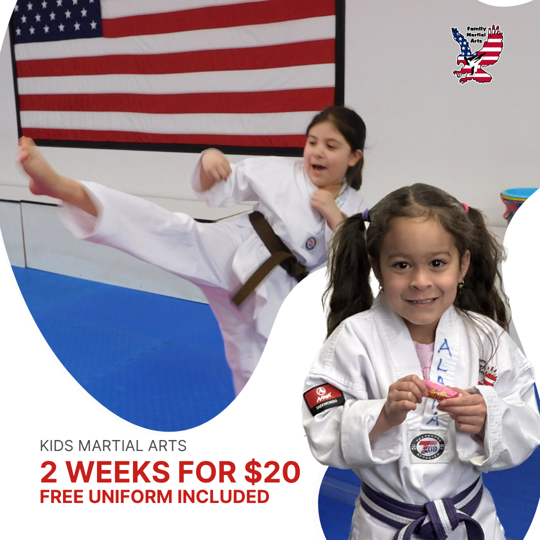 Family Martial Arts Facebook ad from Apr 10, 2026
