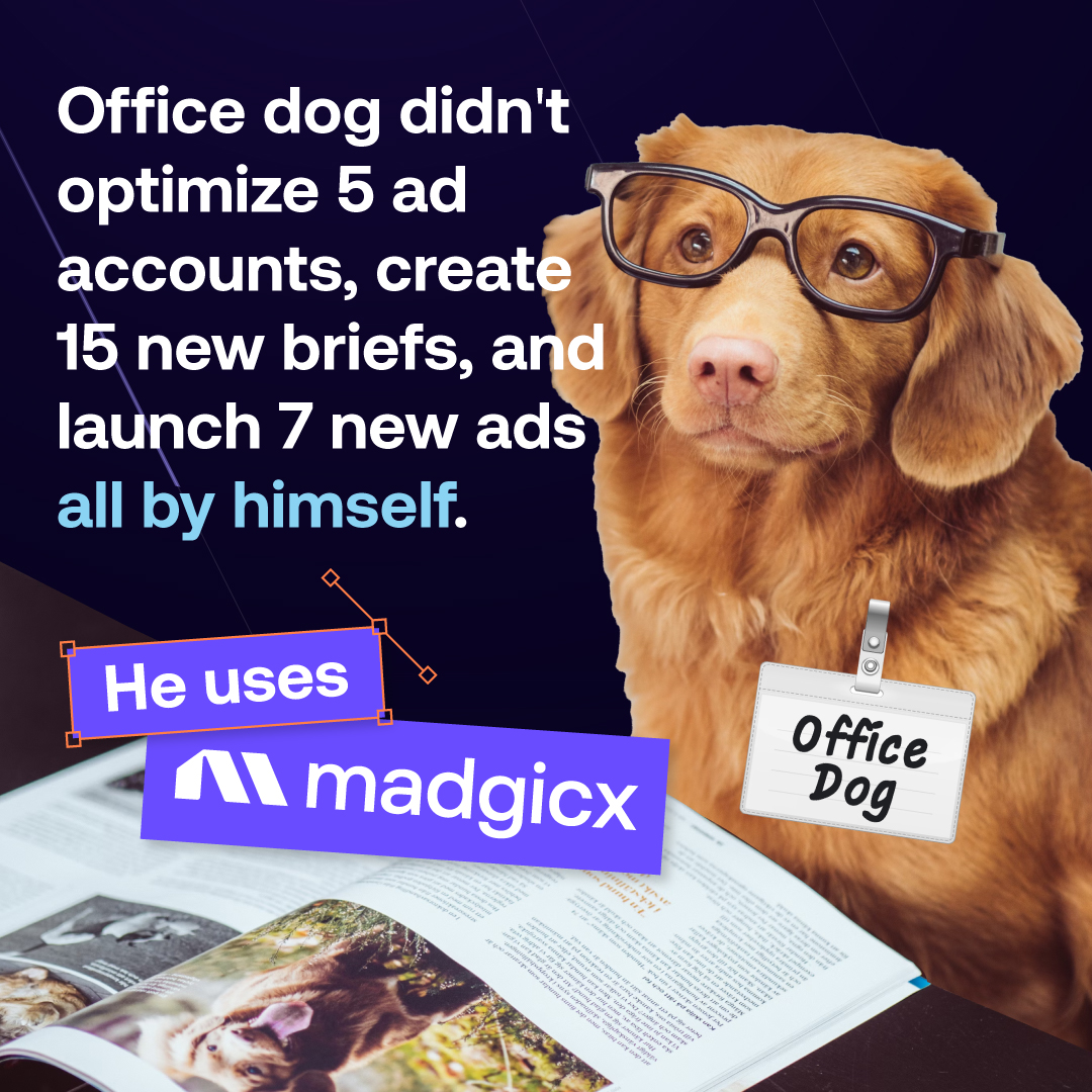 madgicx.com Facebook ad