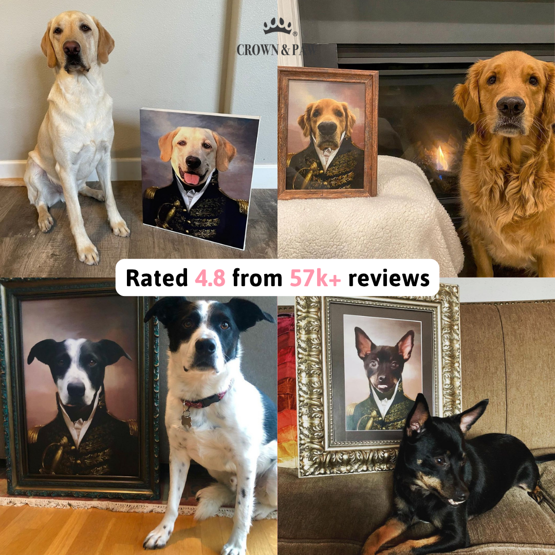 Crown & Paw Facebook ad