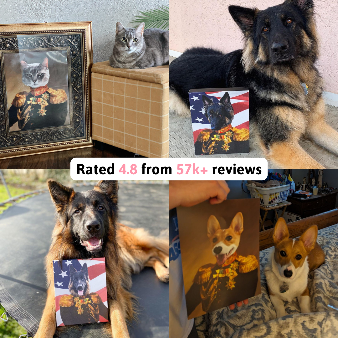 Crown & Paw Facebook ad