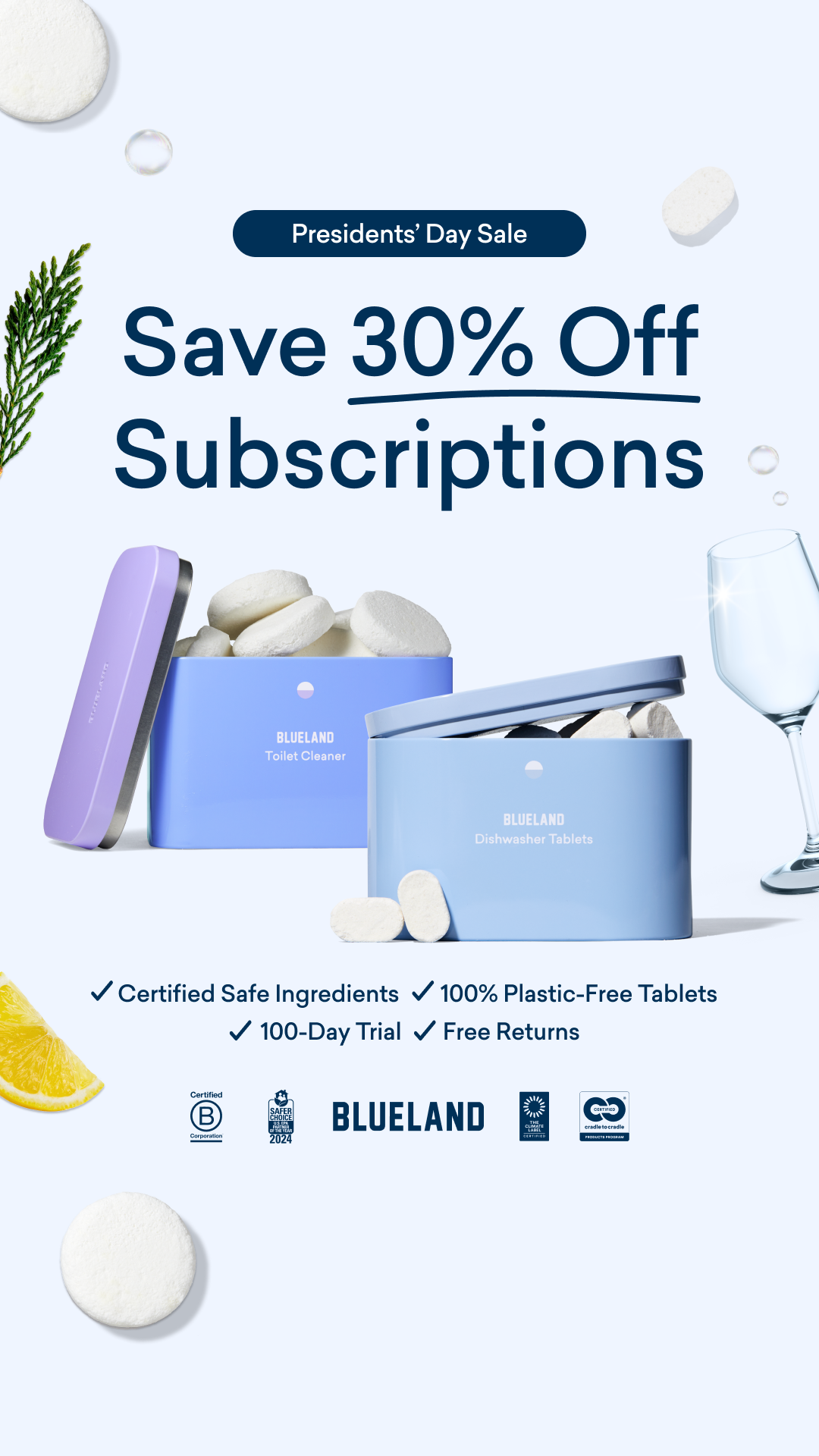 Blueland Facebook ad