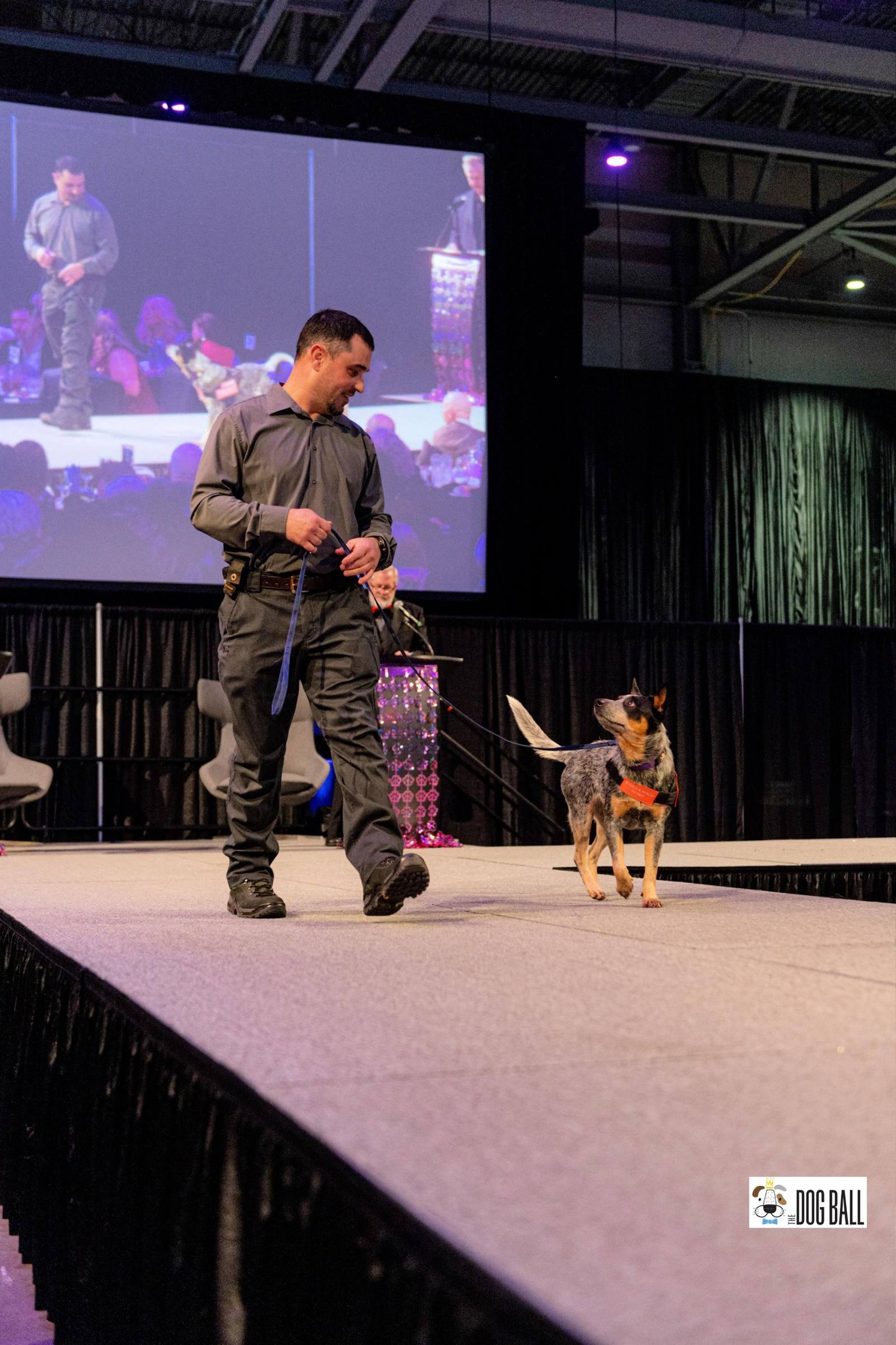 Impactful Canine Training Facebook ad: Huntsville's First Urban CGC Class Is Here.