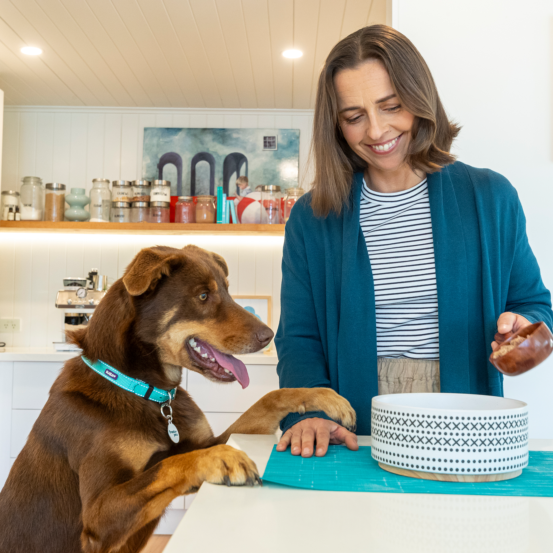 Frontier Pets Pet Food Facebook ad