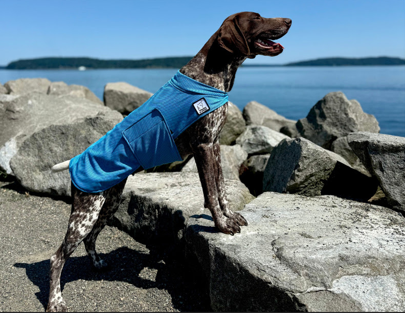 Voyagers K9 Apparel Facebook ad