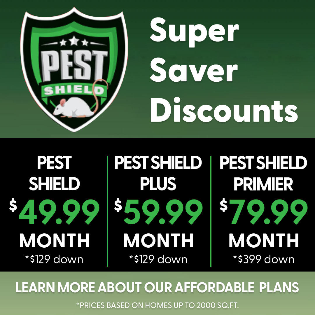 New Jersey Pest Management Balance Of Nature, Inc. Facebook ad: NJ Pest & Wildlife Control
