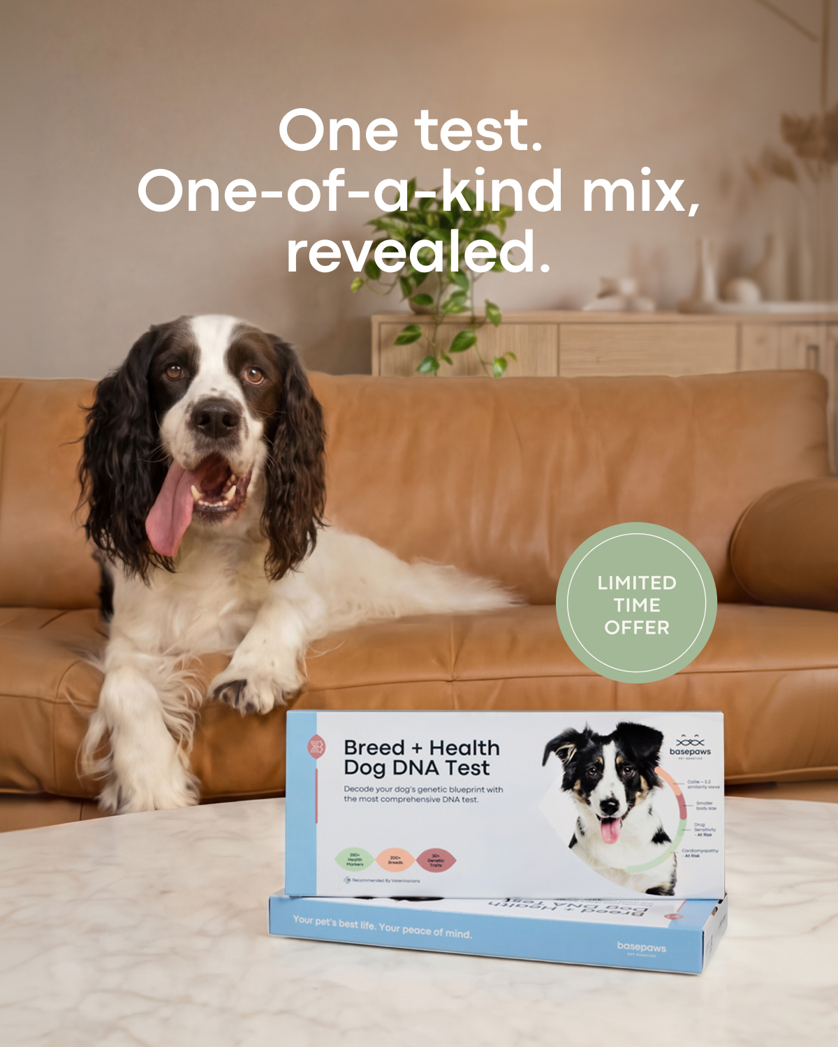 Basepaws Facebook ad from May 8, 2026