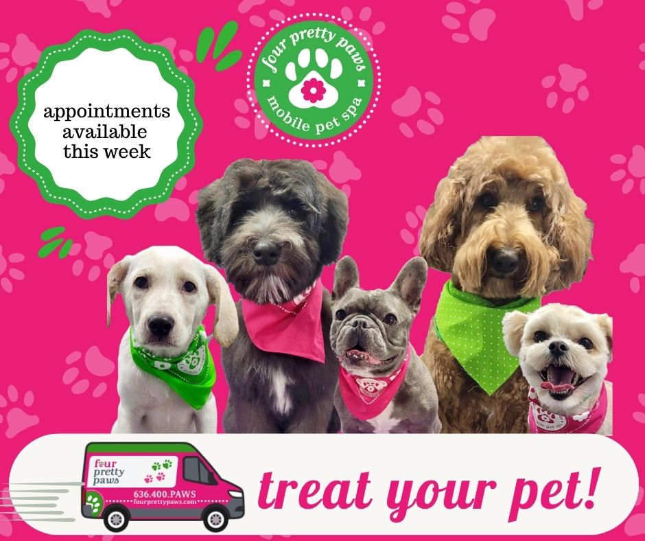 Four Pretty Paws Facebook ad