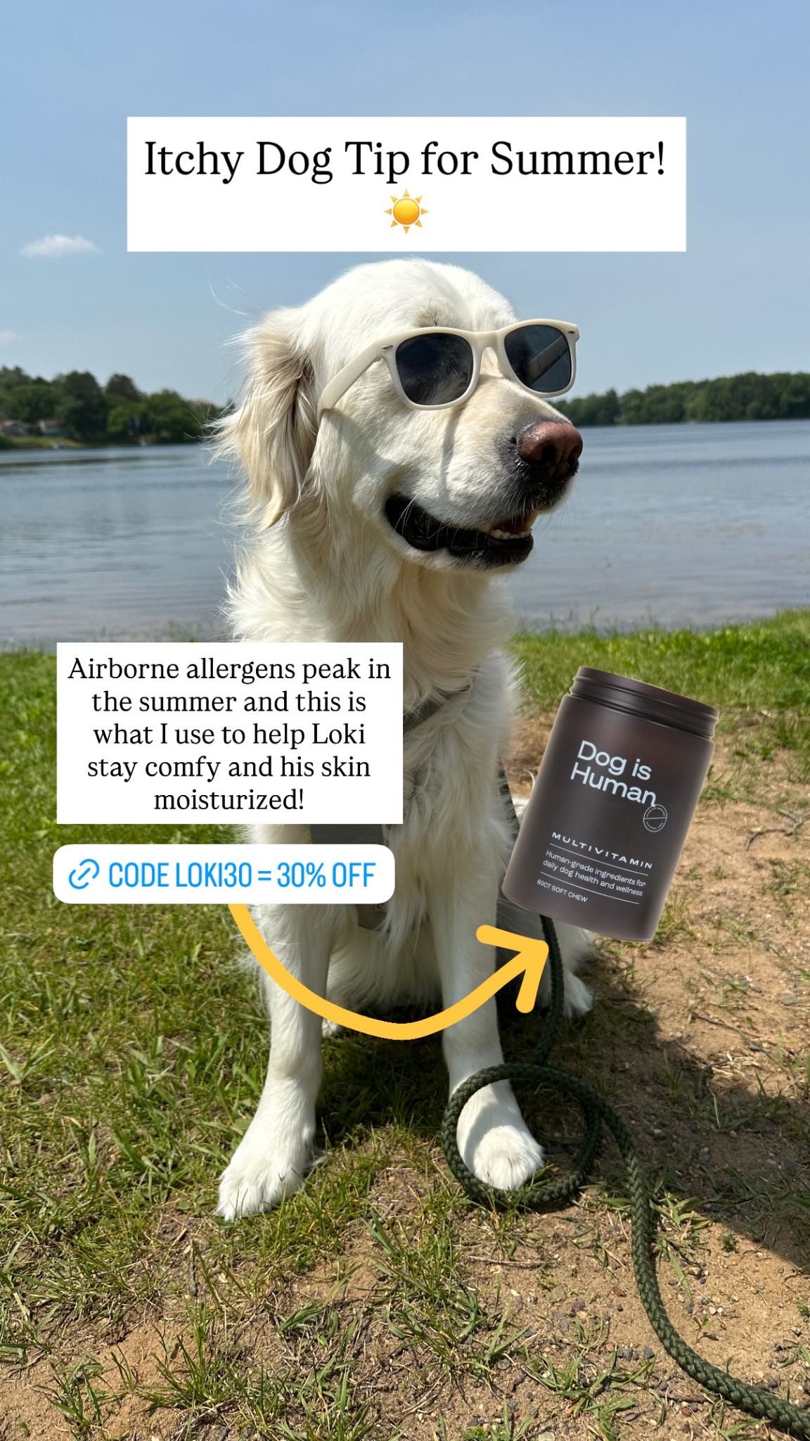 Dog is Human Facebook ad