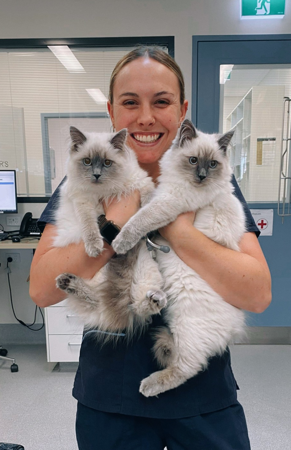 North Valley Animal Rescue Facebook ad