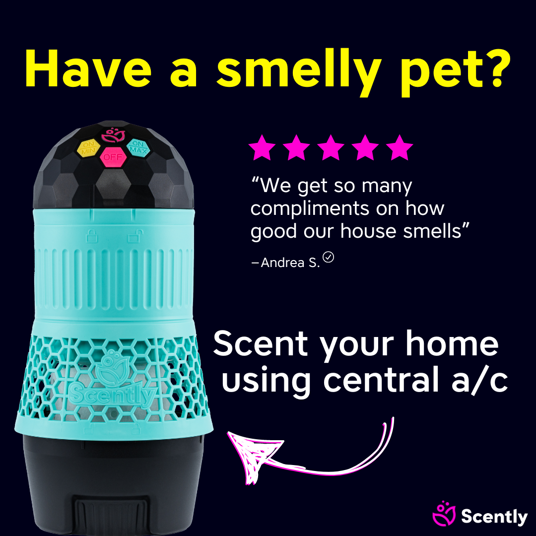 Scently Facebook ad
