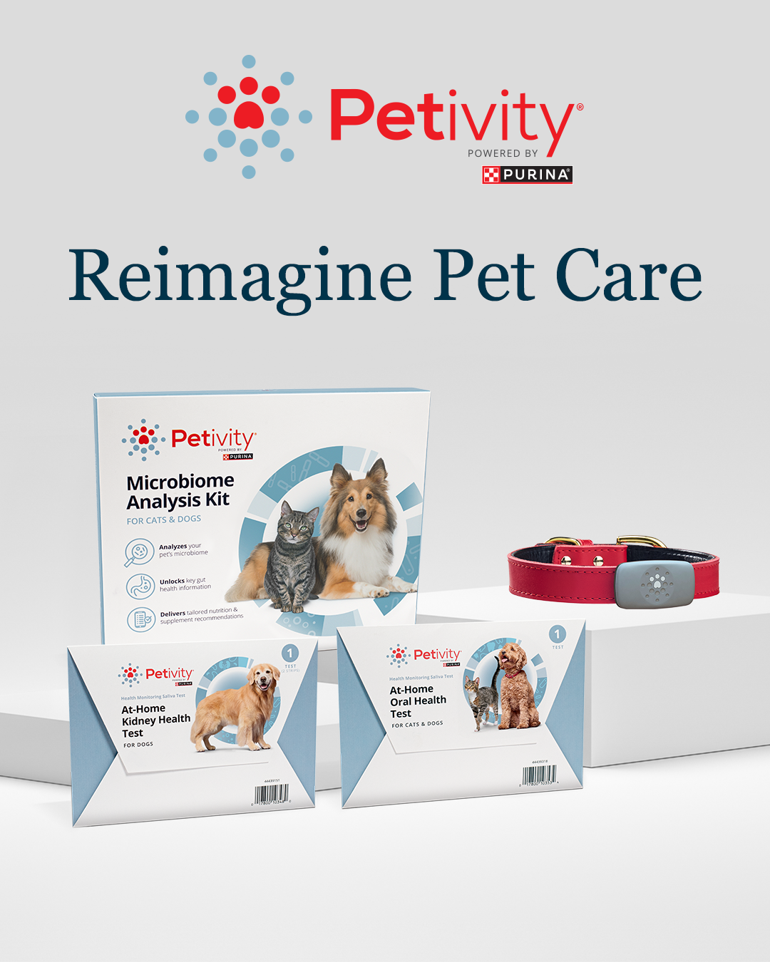 Petivity Facebook ad