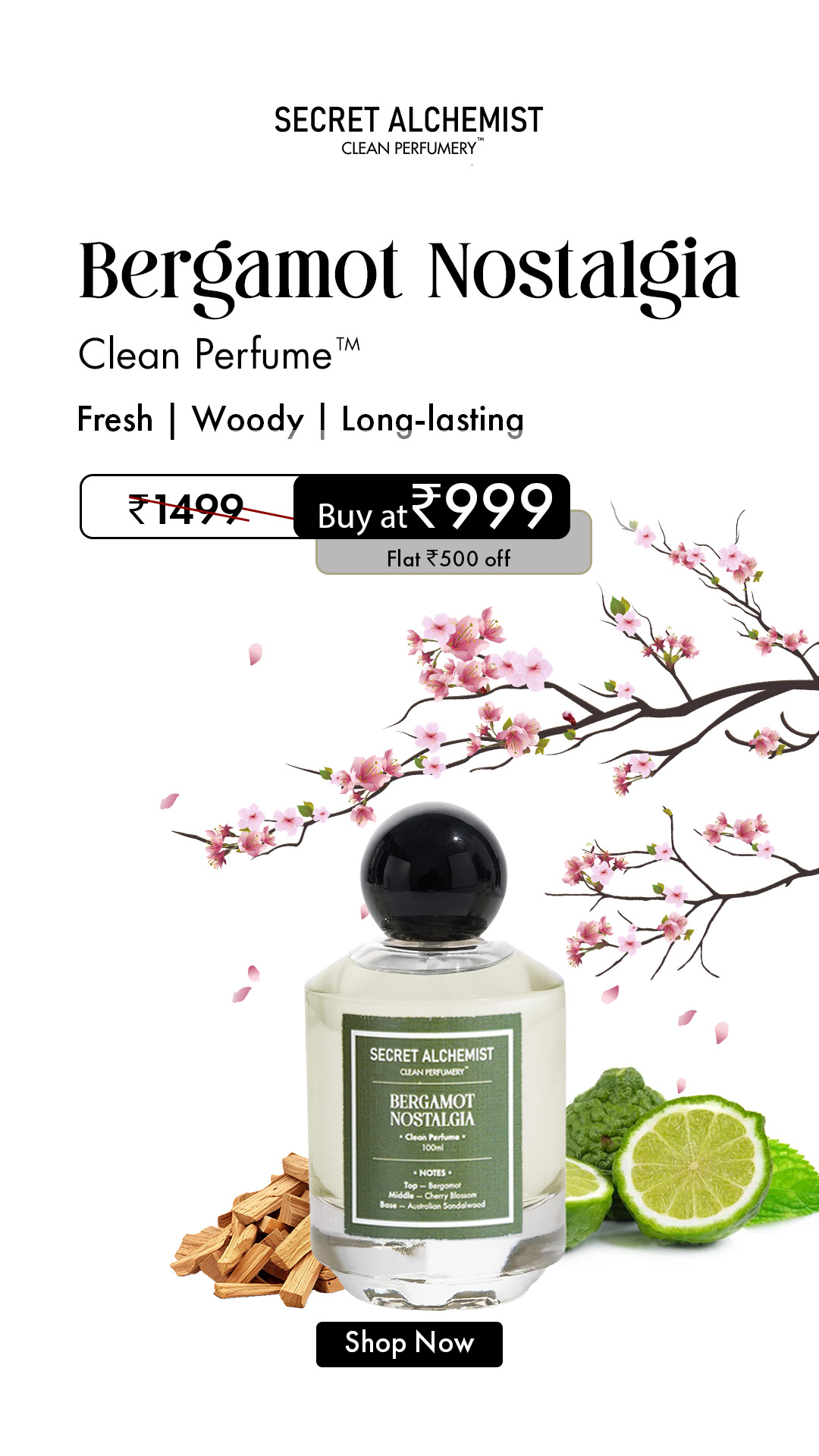 Secret Alchemist Facebook ad