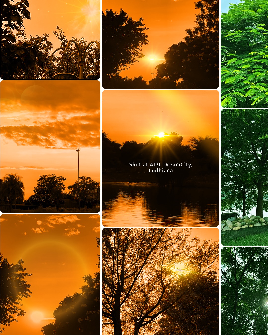 AIPL DreamCity, Ludhiana Facebook ad: Nature in its finest tones