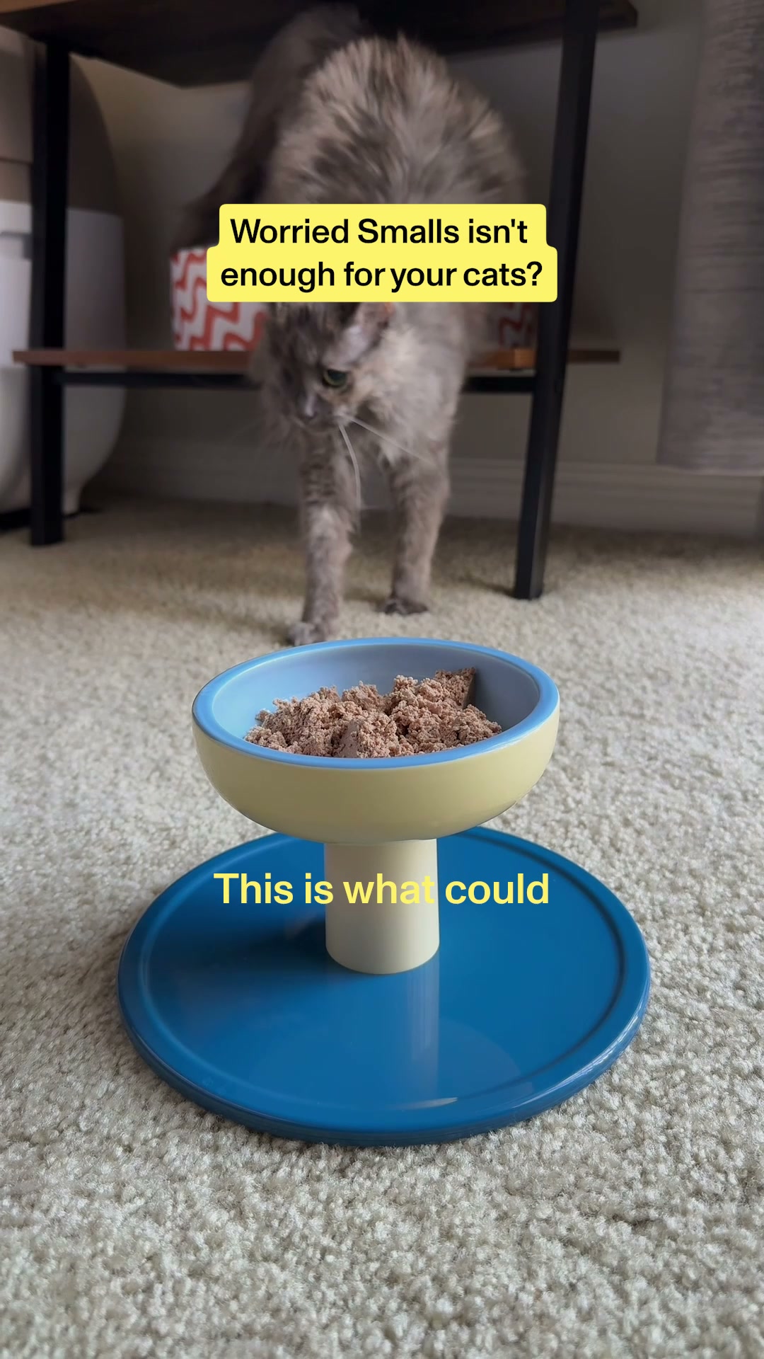 Smalls Facebook ad: Human-Grade Fresh Cat Food