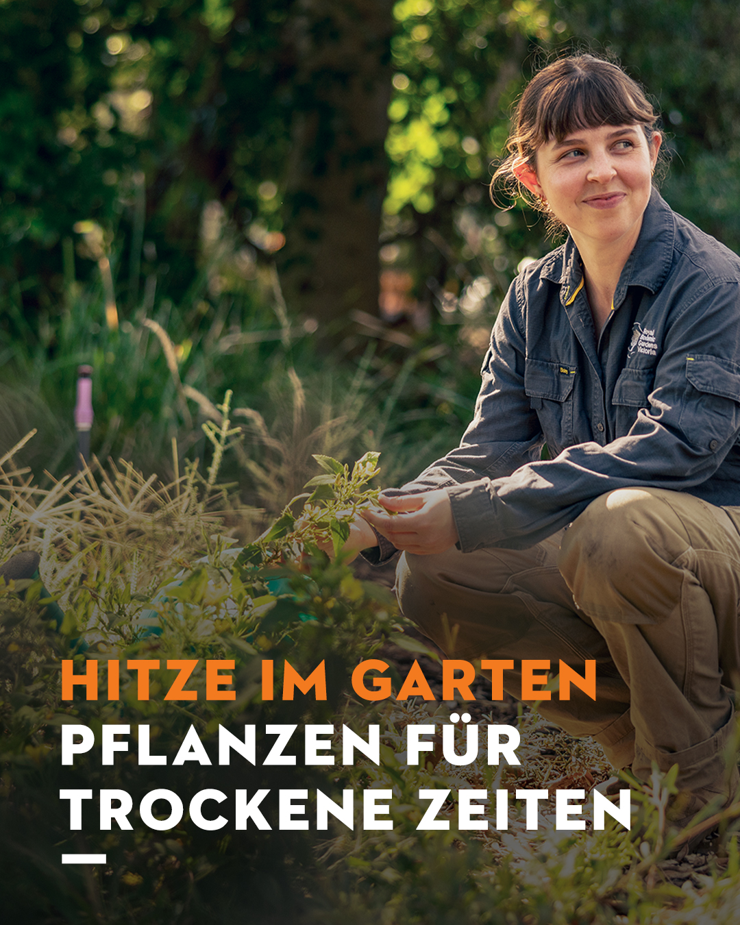 STIHL Facebook ad