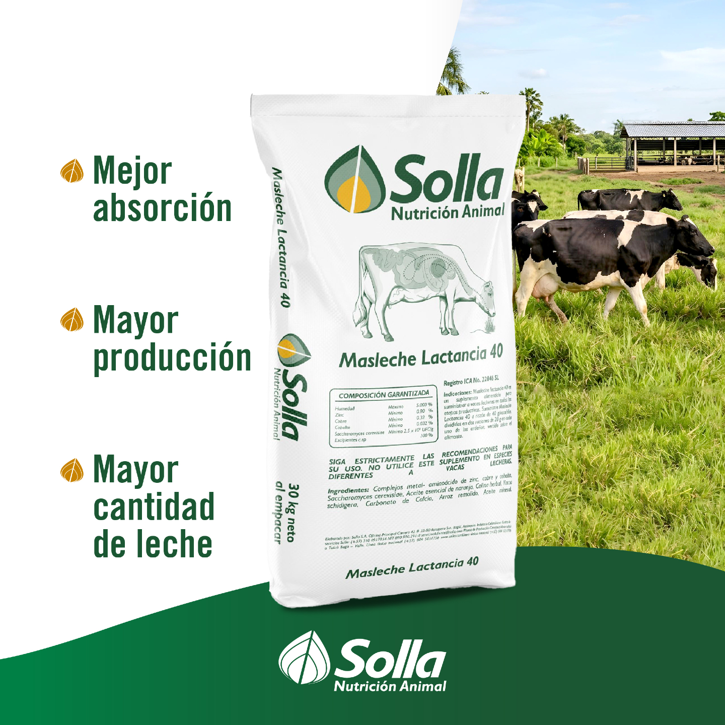 Solla Facebook ad: Plaza Campo