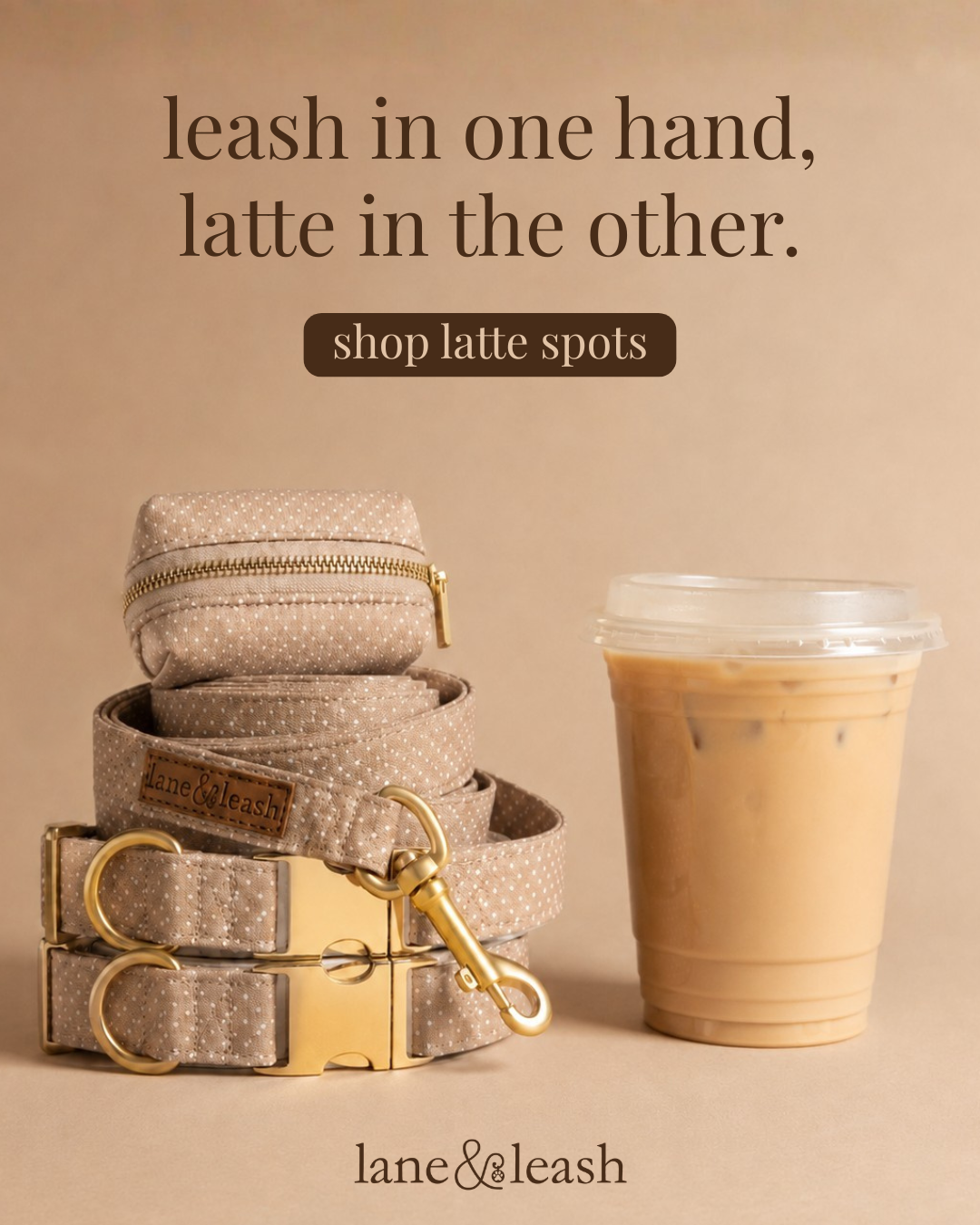 Lane&Leash Facebook ad: We made FETCH happen.