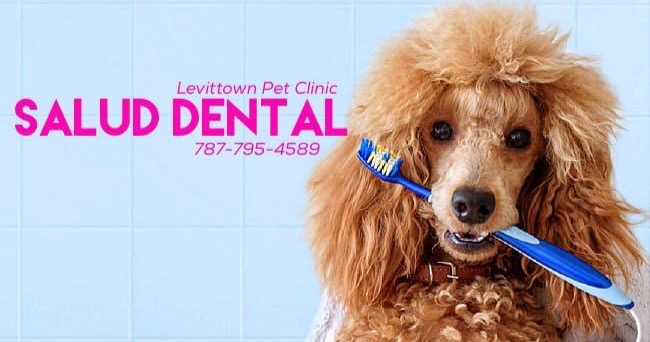 Levittown Pet Clinic Facebook ad