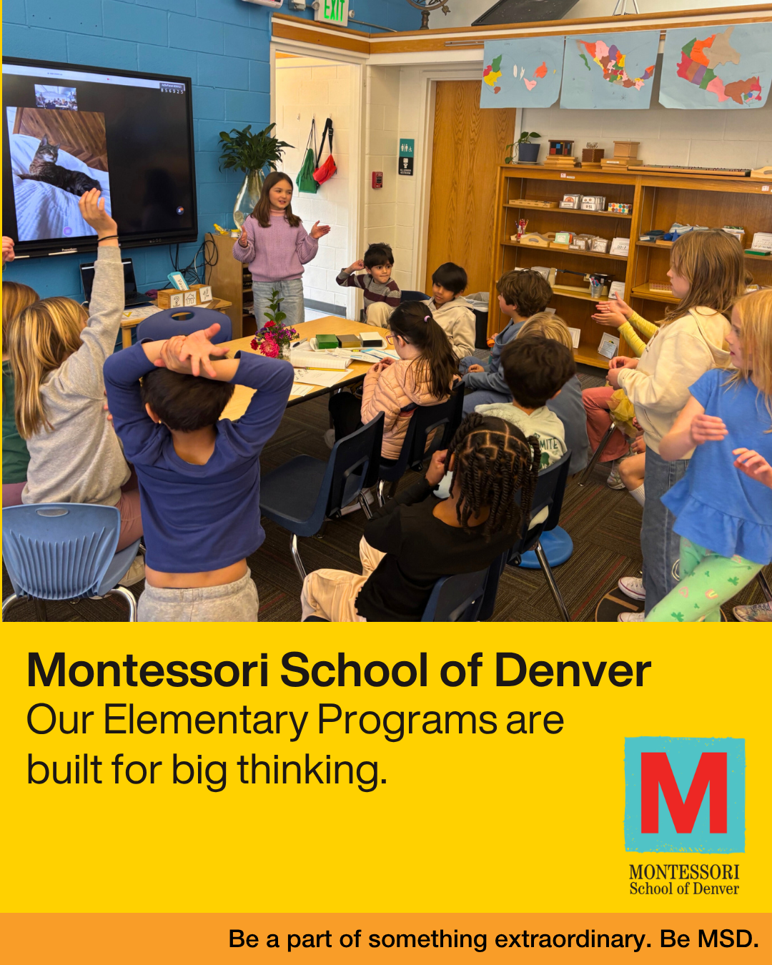 Montessori School of Denver Facebook ad: Discover the MSD Difference!