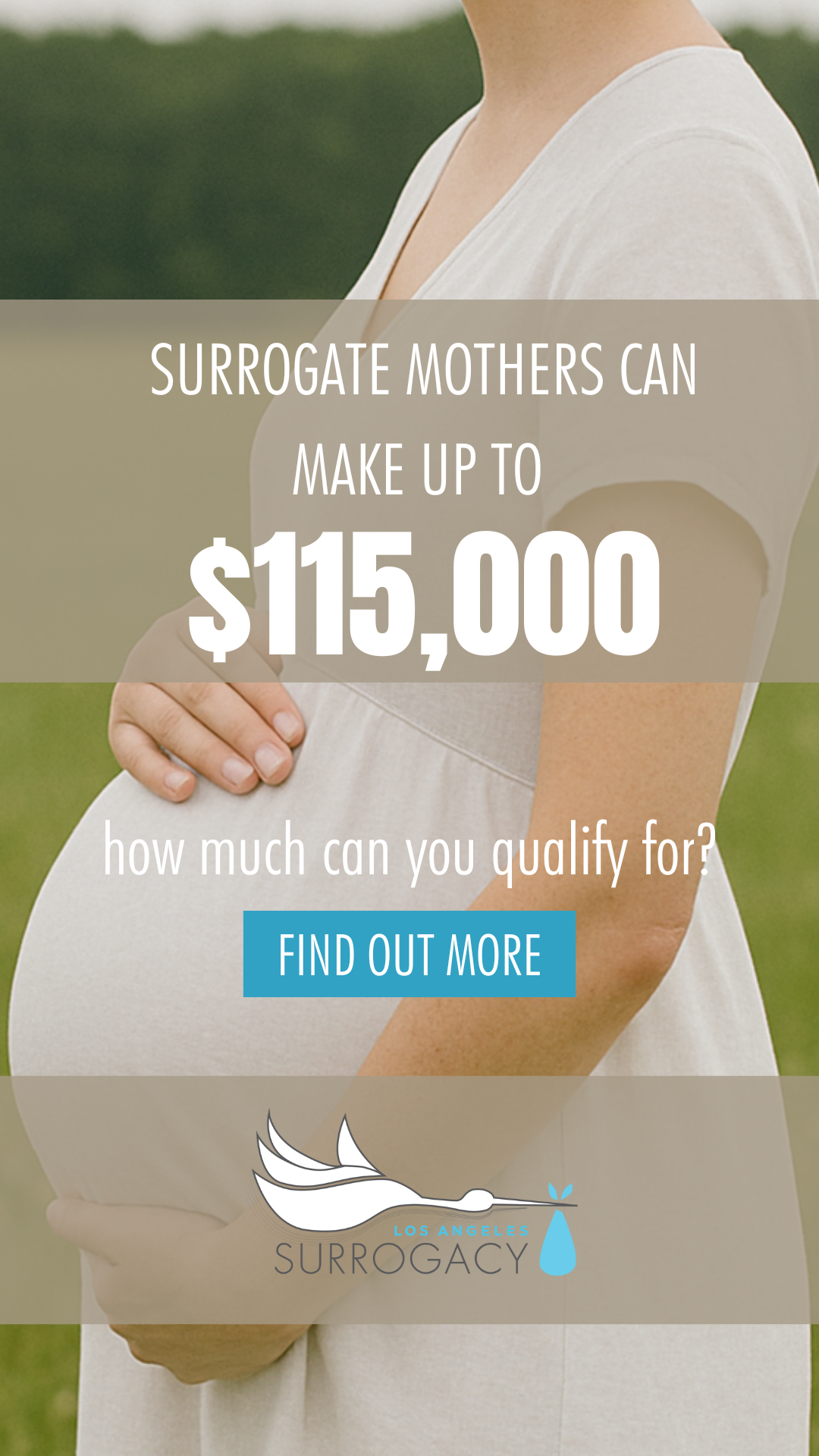Los Angeles Surrogacy Facebook ad
