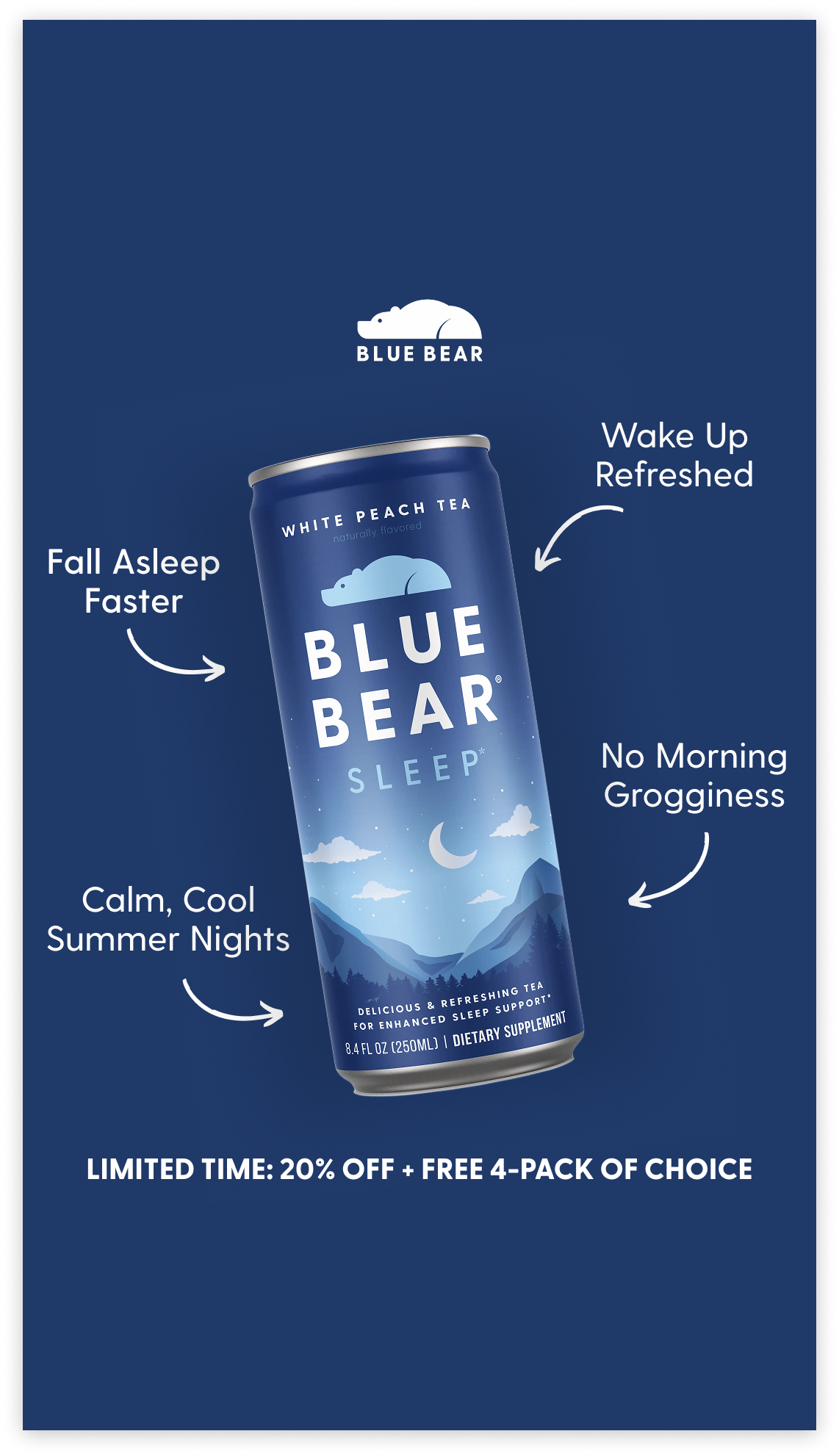 Blue Bear Facebook ad