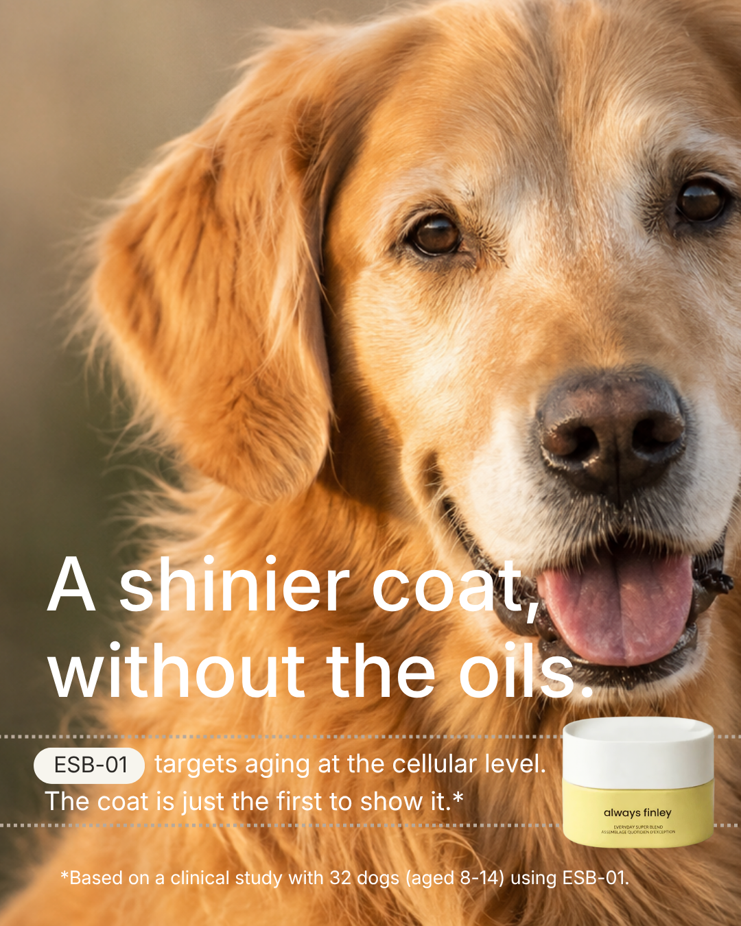 Finley Facebook ad: Shine starts from the inside.