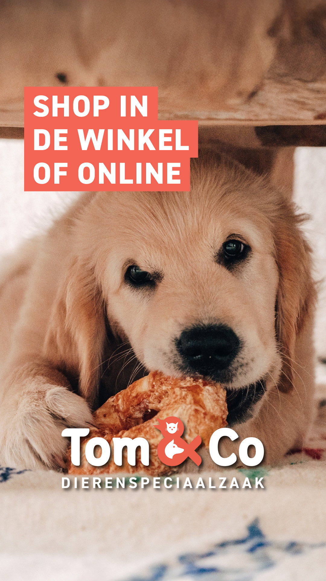 Tom&Co België Facebook ad