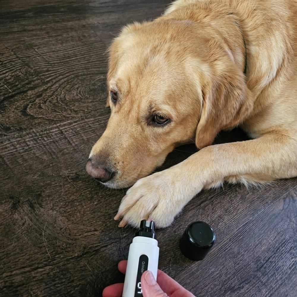 Pet Parent Confessions Facebook ad: Read if Your Dog Hates Nail Trims