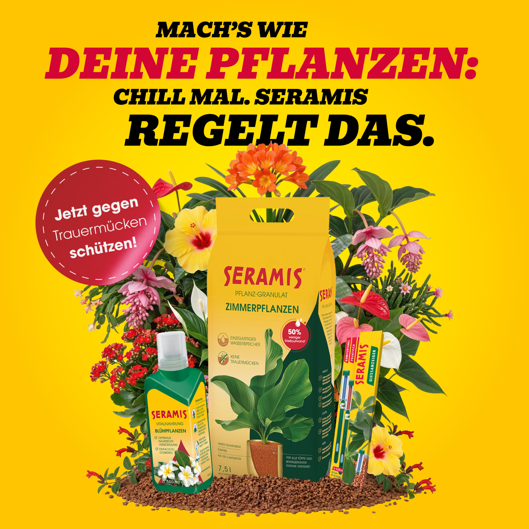SERAMIS Facebook ad: Zimmer- und Blühpflanzen lieben SERAMIS: Granulat…