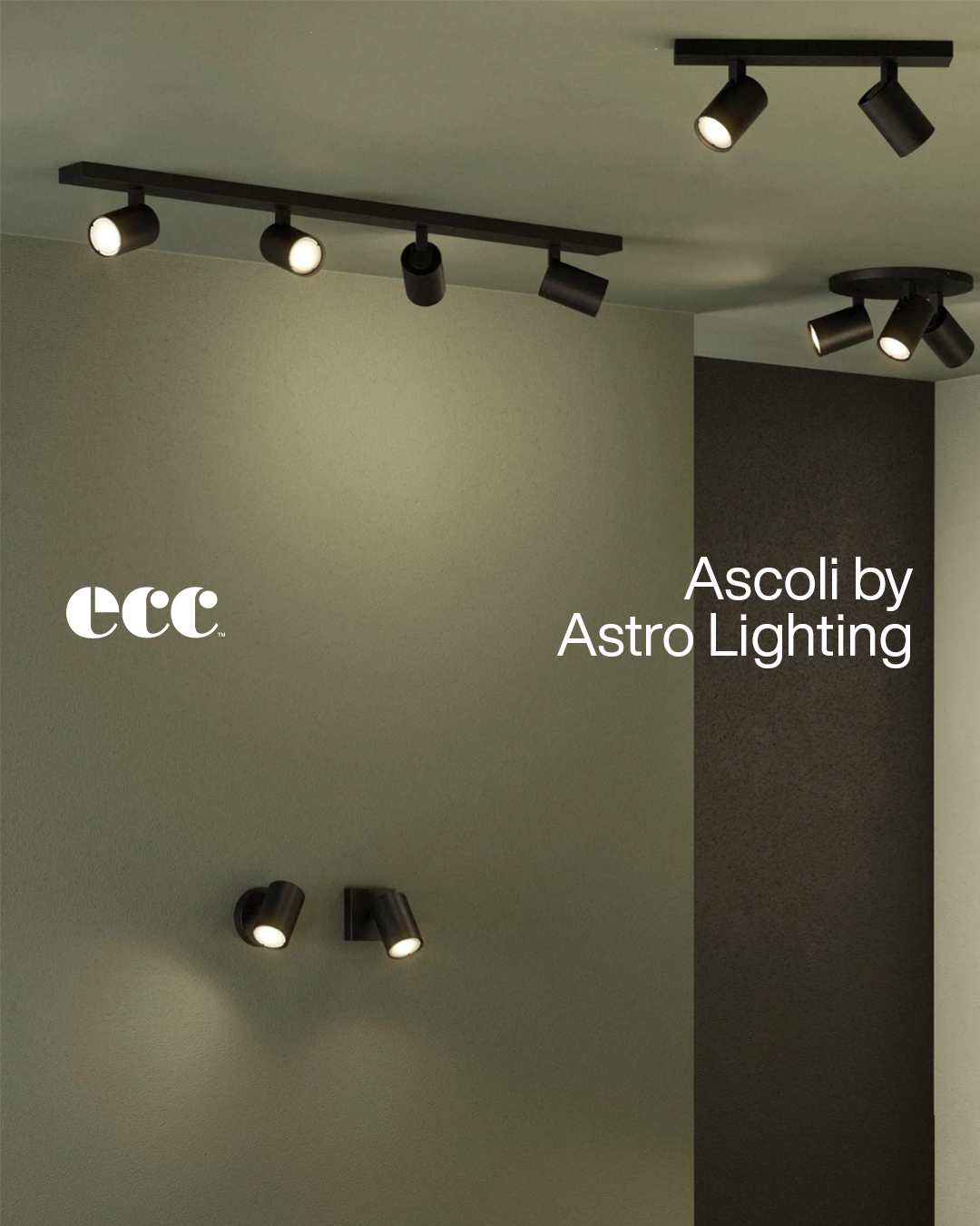 ECC New Zealand Facebook ad: Ready To Ship: Ascoli