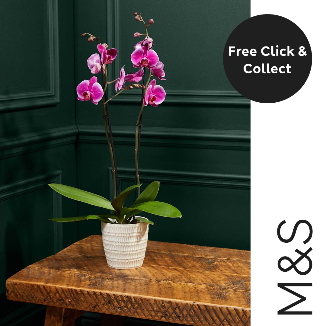 Marks and Spencer Facebook ad