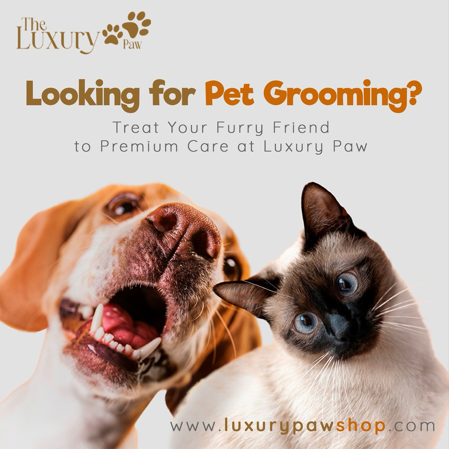 Luxury Paw Facebook ad: Looking for pet grooming?