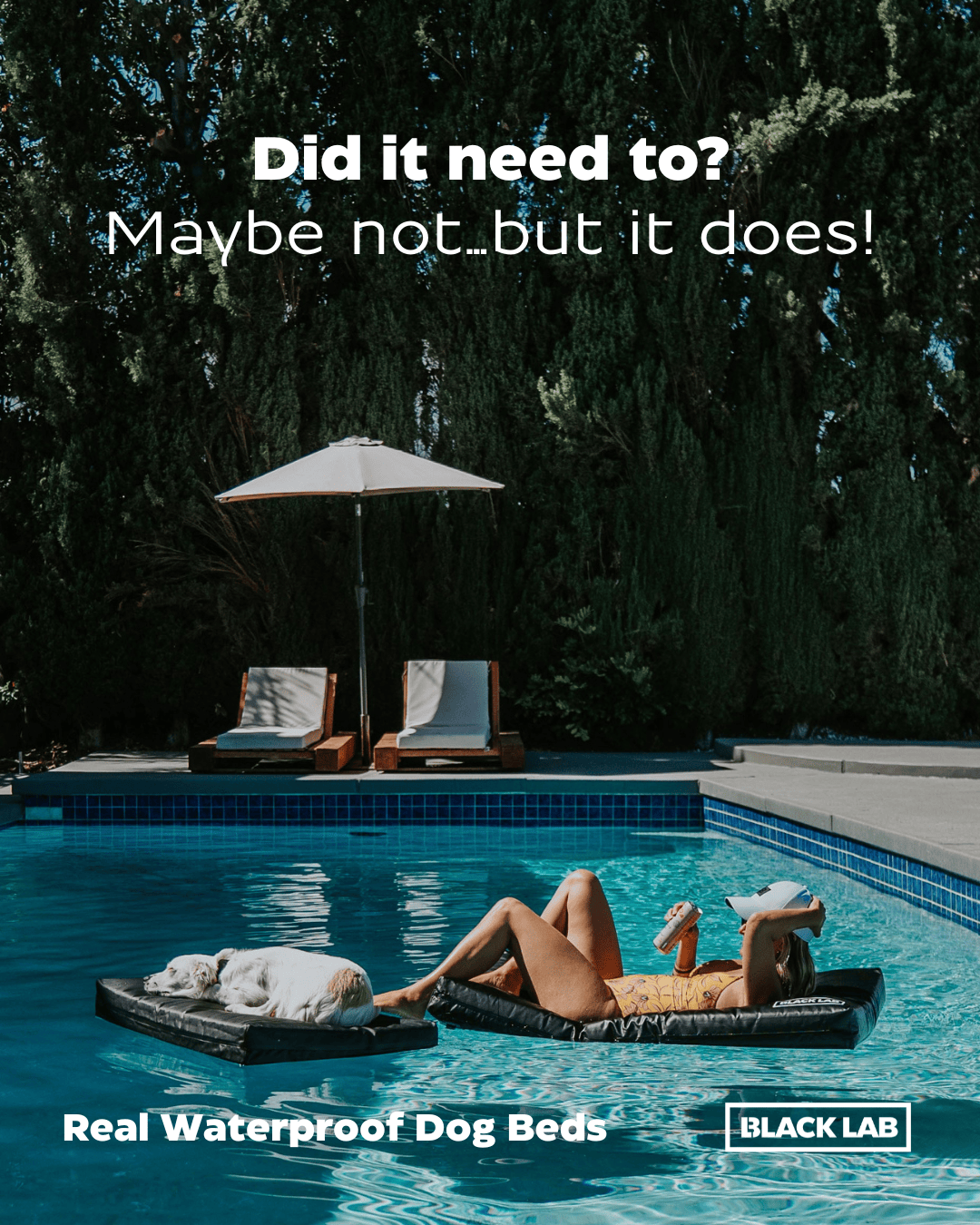 Black Lab Brands Facebook ad